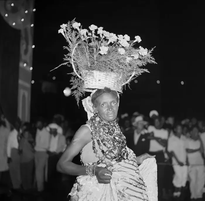Framed Print : Carnival in Rio de Janeiro Framed Print : Carnival in Rio de Janeiro