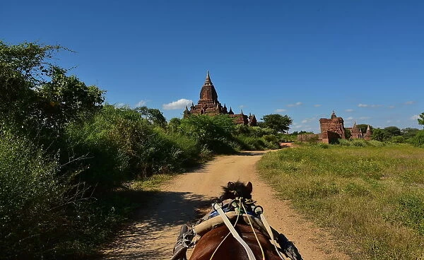 Carriage ride at Bagan Temple Unesco Myanmar