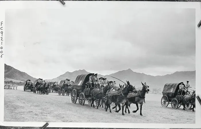 Framed Print : Carriages Being Pulled by Mules Framed Print : Carriages Being Pulled by Mules