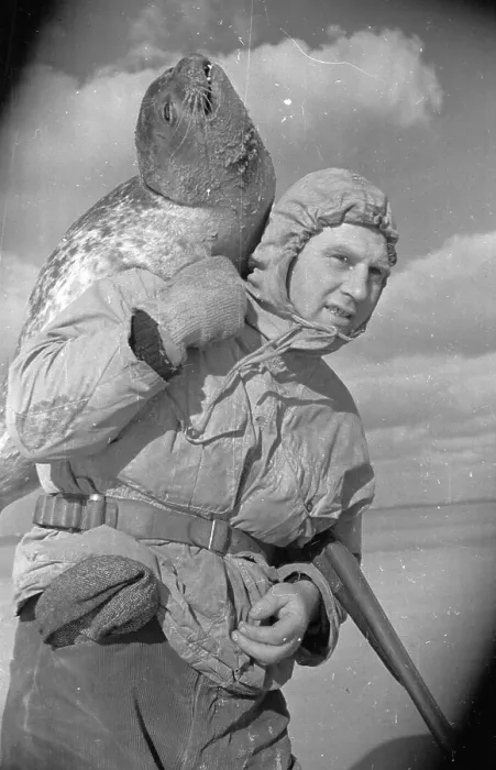 Framed Print : Carrying A Seal Framed Print : Carrying A Seal