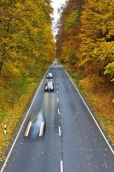 Cars driving on a country road in autumn, Hesse, Germany, Europe
