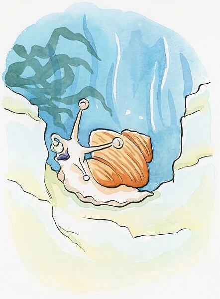 Cartoon of Common Periwinkle (Littorina littorea), an underwater sea snail using tentacle to put food in open mouth