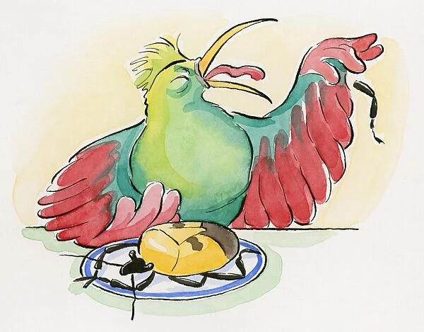 Cartoon of dead Shield bug on plate and chicken grimacing as it spits out a leg of the insect which produces a disgusting tasting liquid and unpleasant smell