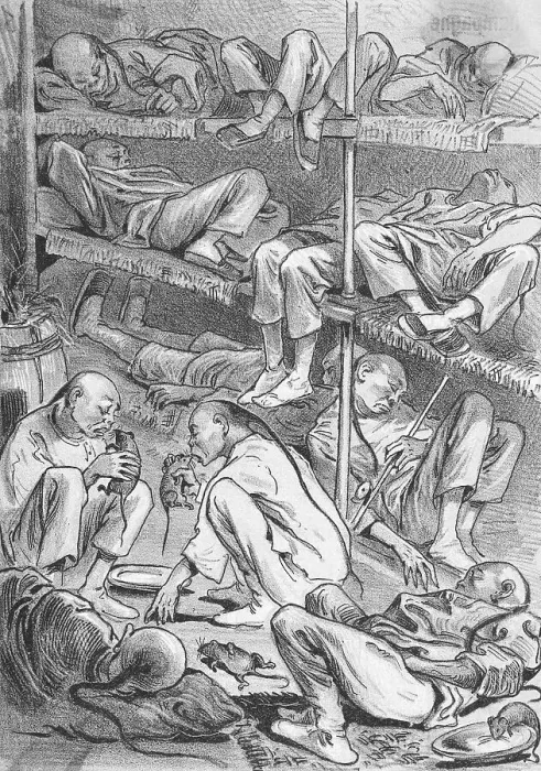 Framed Print : Cartoon Depicting Chinese in America Framed Print : Cartoon Depicting Chinese in America