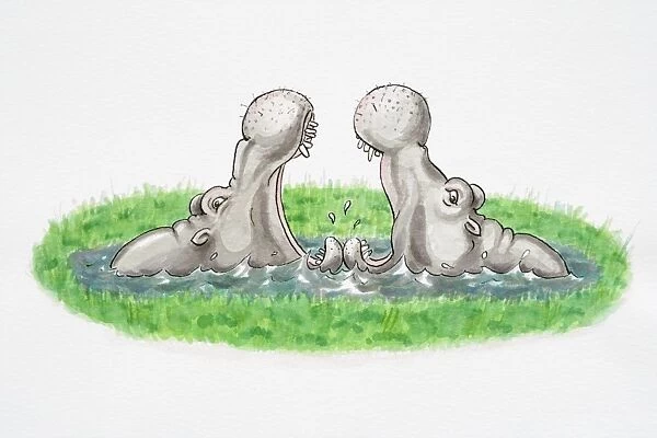 Cartoon depiction of two hippopotamus in pool