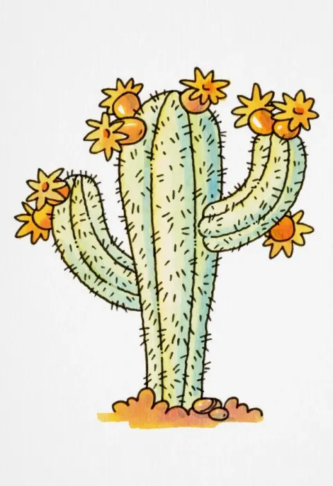 Framed Print : Cartoon, desert cactus in bloom Framed Print : Cartoon, desert cactus in bloom