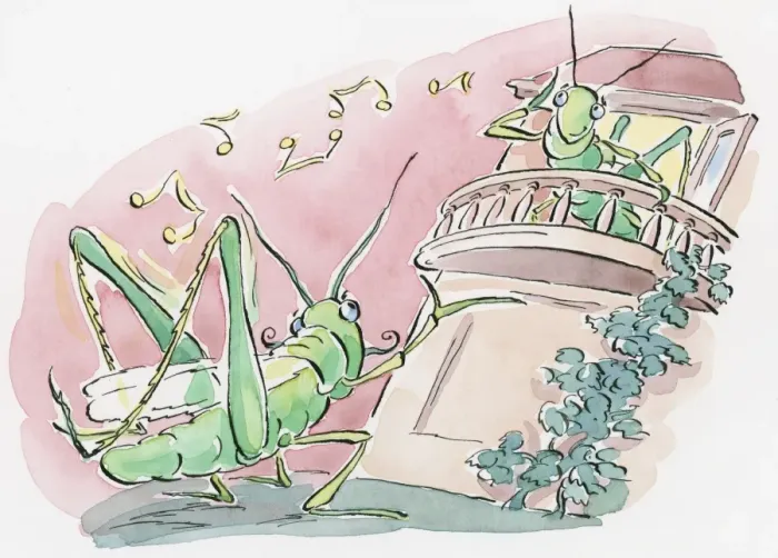 Framed Print : Cartoon of grasshopper attracting a mate by rubbing its back legs to chirp as she looks down from balcony Framed Print : Cartoon of grasshopper attracting a mate by rubbing its back legs to chirp as she looks down from balcony