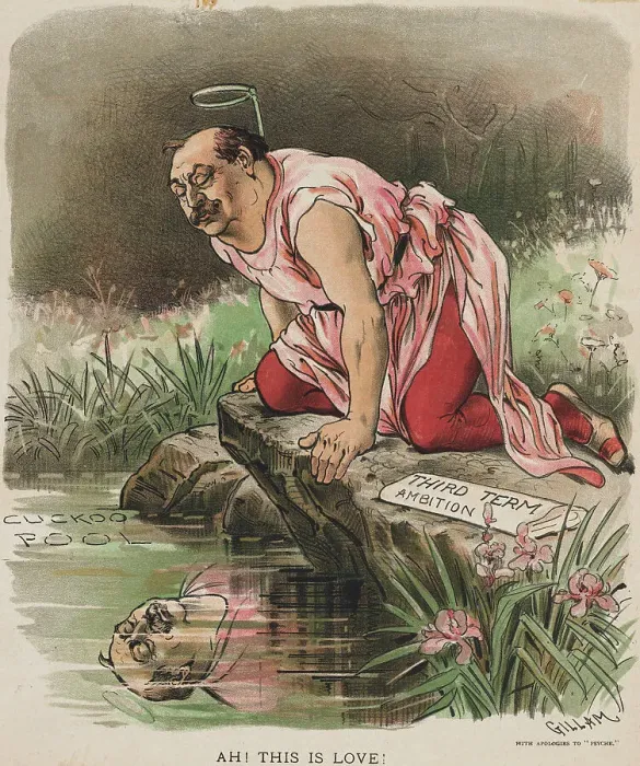 Framed Print : Cartoon on President Grover Cleveland Gazing into Pond Framed Print : Cartoon on President Grover Cleveland Gazing into Pond