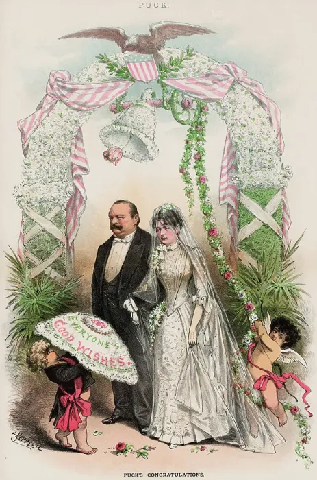 Framed Print : Cartoon on President Grover Cleveland's Political Marriage Framed Print : Cartoon on President Grover Cleveland's Political Marriage