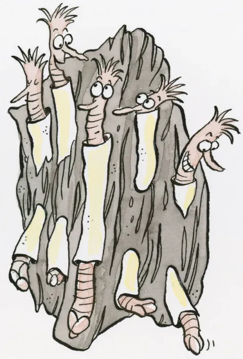 Framed Print : Cartoon of Shipworms using shells to bore through driftwood Framed Print : Cartoon of Shipworms using shells to bore through driftwood