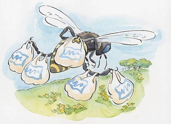 Cartoon of worker bee carrying shopping bags containing pollen on legs as it flies to hive