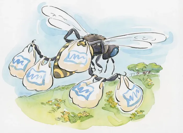 Framed Print : Cartoon of worker bee carrying shopping bags containing pollen on legs as it flies to hive Framed Print : Cartoon of worker bee carrying shopping bags containing pollen on legs as it flies to hive