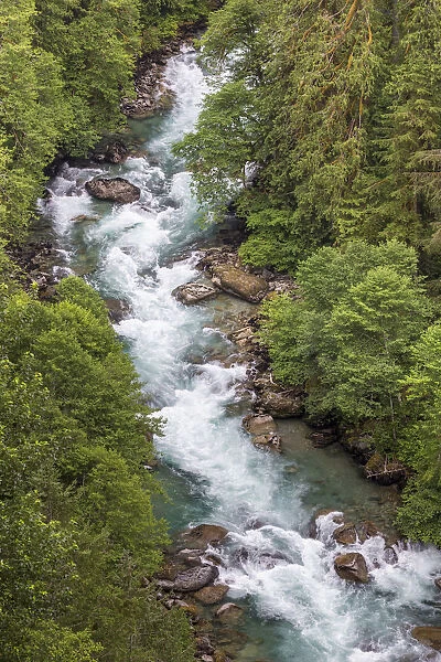 Cascade River flowing through forest, Mount Baker Snoqualmie National Forest, Washington State, USA