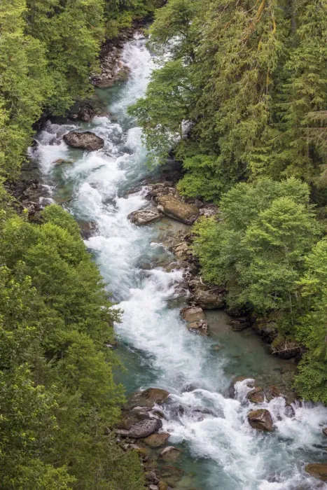 Framed Print : Cascade River flowing through forest, Mount Baker Snoqualmie National Forest, Washington State, USA