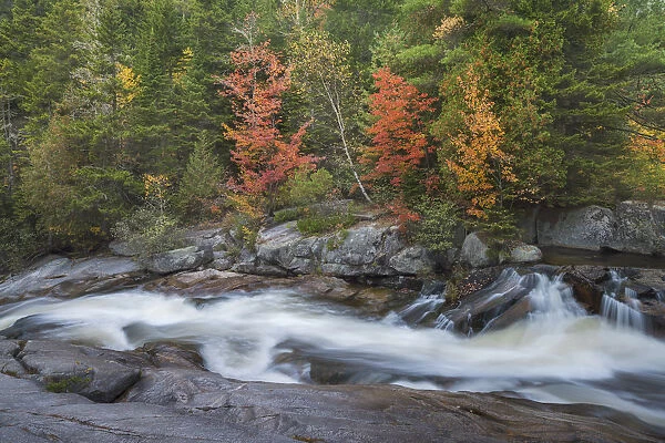 The cascades of Little Niagara Falls with Autumn colors, in Baxter State Park, Maine, USA