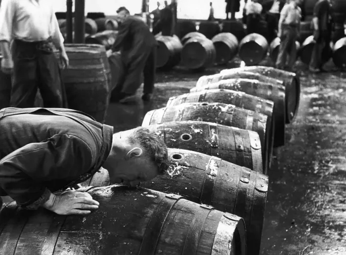 Framed Print : Cask Sniffing Framed Print : Cask Sniffing