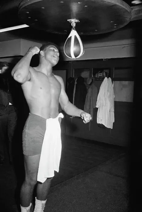 Framed Print : Cassias Clay Punching Bag Framed Print : Cassias Clay Punching Bag