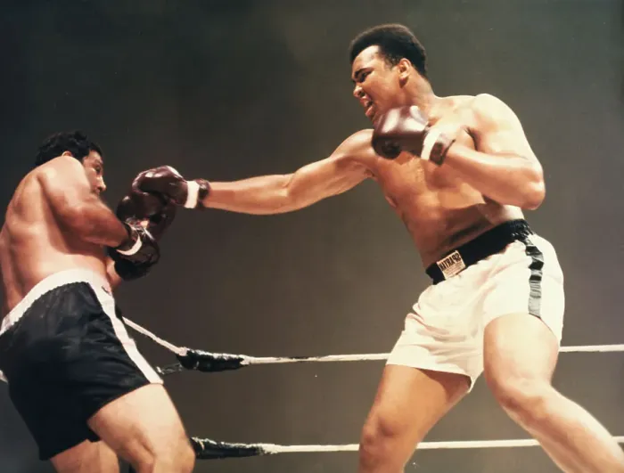 Framed Print : Cassius Clay Boxing Rocky Marciano Framed Print : Cassius Clay Boxing Rocky Marciano