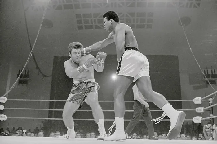 Framed Print : Cassius Clay Punching Jerry Quarry During Boxing Match Framed Print : Cassius Clay Punching Jerry Quarry During Boxing Match