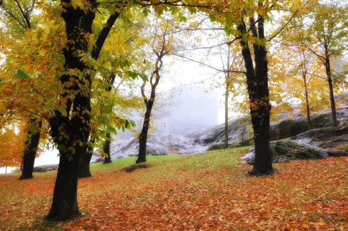 Framed Print : Castle in autumn Framed Print : Castle in autumn