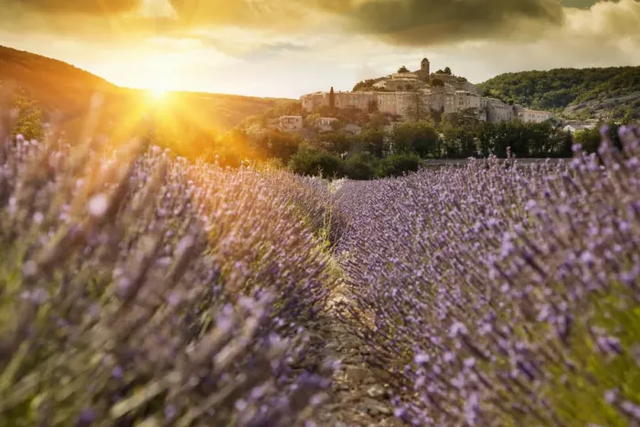 Framed Print : Castle overlooking field of flowers Framed Print : Castle overlooking field of flowers