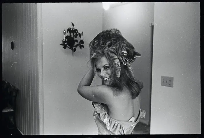 Framed Print : Cat on Ann-Margret's Head Framed Print : Cat on Ann-Margret's Head