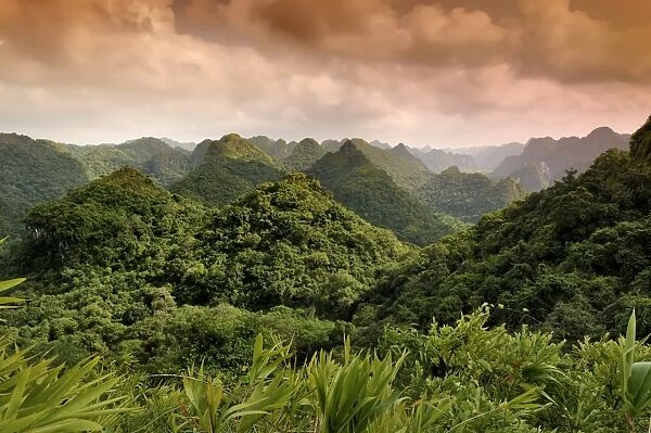 Cat Ba National Park, view from the Ngu Lam peak, Kim Giao forest, UNESCO Biosphere Reserve, Vietnam, Southeast Asia