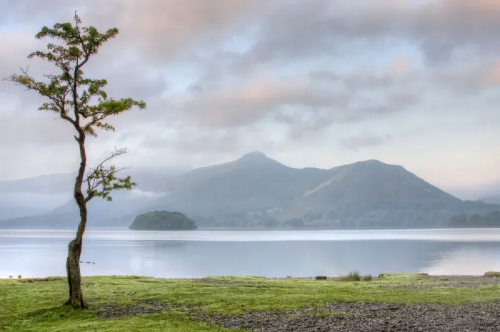 Framed Print : Cat Bells Viewed Across Derwentwater Framed Print : Cat Bells Viewed Across Derwentwater