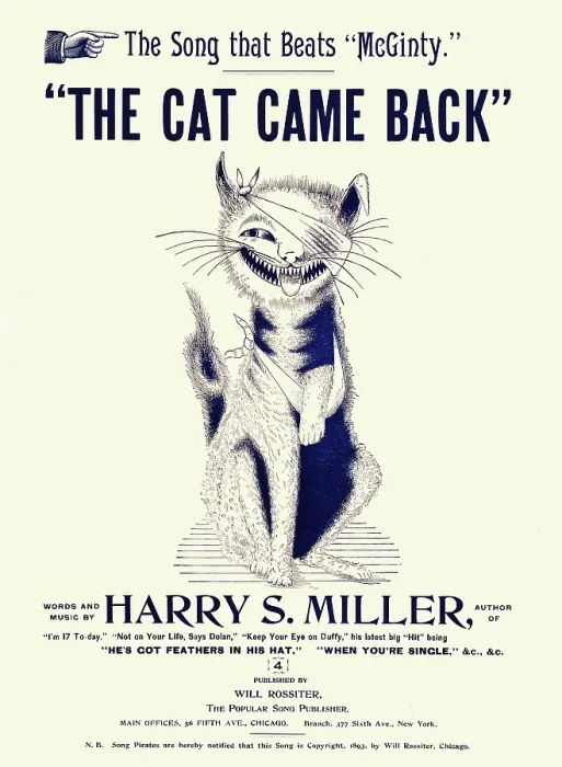 Framed Print : The Cat Came Back Framed Print : The Cat Came Back