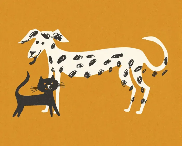Framed Print : Cat and Dog Framed Print : Cat and Dog