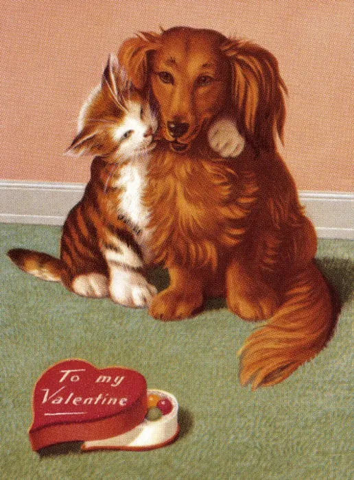 Framed Print : Cat and Dog Valentine Framed Print : Cat and Dog Valentine