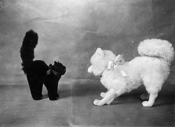 Cat Fight. 16th December 1924: A black cat and a white dog novelty toy