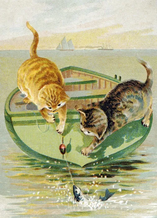 Framed Print : Cat Fishing Framed Print : Cat Fishing