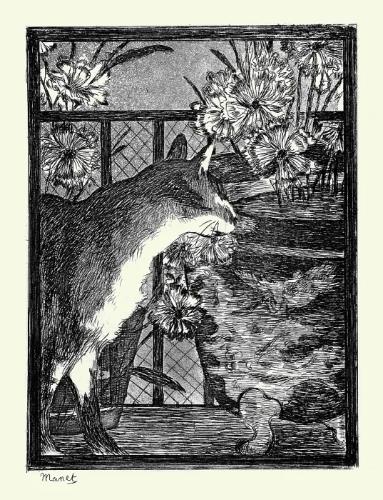 Framed Print : Cat and Flowers Framed Print : Cat and Flowers