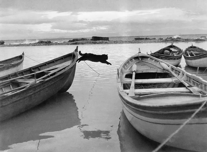 Framed Print : Cat Jumping Betwn Fishing Boats Framed Print : Cat Jumping Betwn Fishing Boats