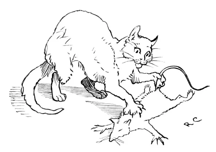Framed Print : Cat that Killed the Rat Framed Print : Cat that Killed the Rat