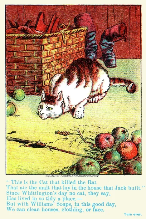 Framed Print : The Cat that Killed the Rat Framed Print : The Cat that Killed the Rat