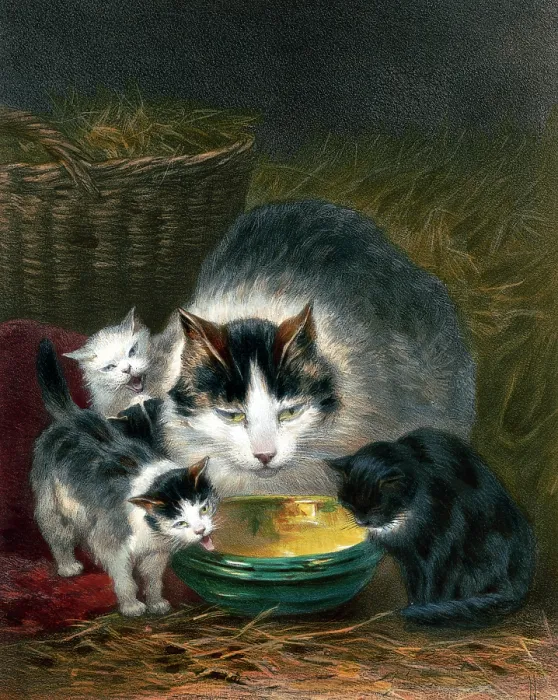 Framed Print : Cat and kittens Framed Print : Cat and kittens