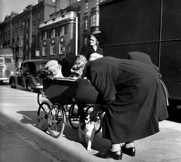 Framed Print : Cat Lover. 26th May 1951: An old lady with a pram stops in the street to