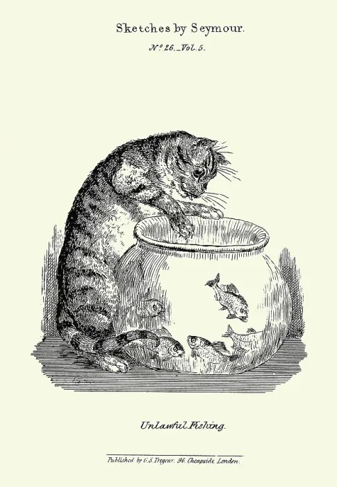 Framed Print : A cat pawing at goldfish in a bowl Framed Print : A cat pawing at goldfish in a bowl