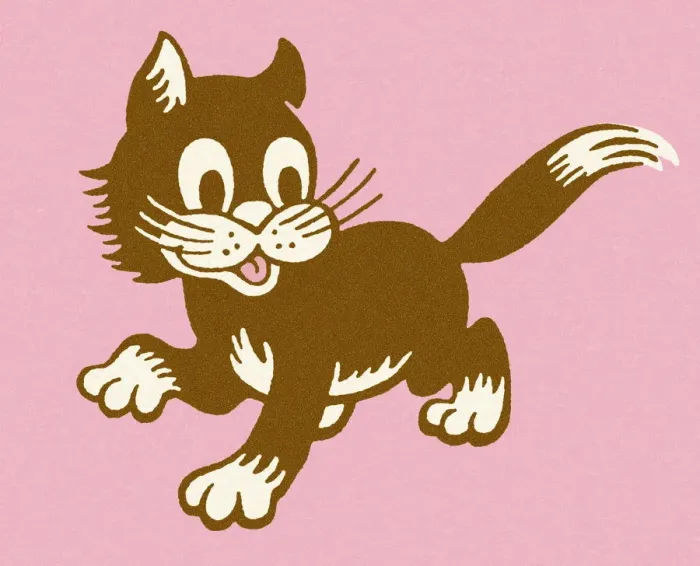 Framed Print : Cat with Pink Background