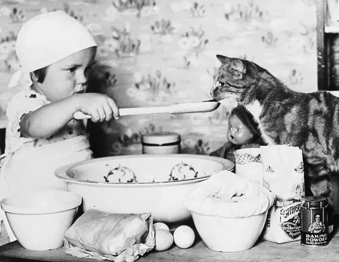 Framed Print : Cat Taster Framed Print : Cat Taster