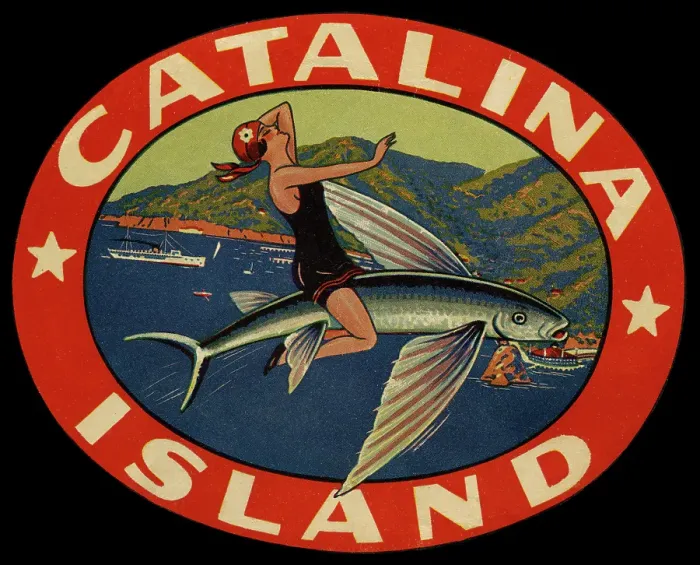 Framed Print : Catalina Island Framed Print : Catalina Island