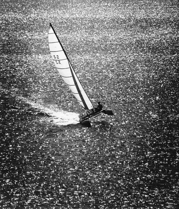 Framed Print : Catamaran Sailing in Mission Bay Framed Print : Catamaran Sailing in Mission Bay