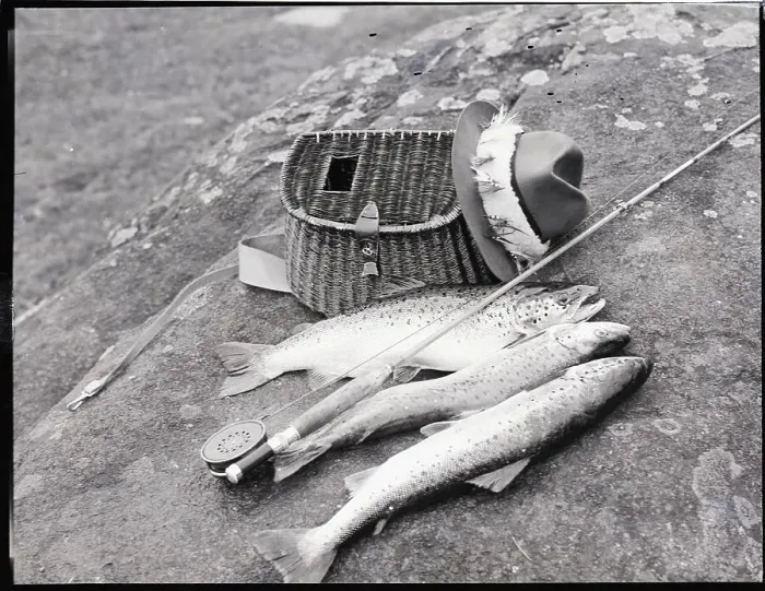 Framed Print : Catch of Trout Framed Print : Catch of Trout