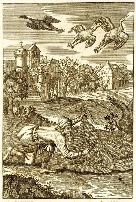 Framed Print : Catching birds with a nest antique engraving Framed Print : Catching birds with a nest antique engraving