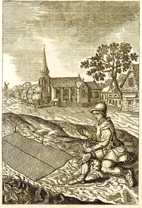 Framed Print : Catching birds with a nest antique engraving Framed Print : Catching birds with a nest antique engraving
