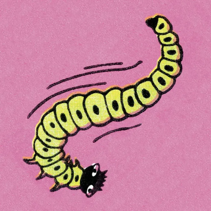 Framed Print : Caterpillar Framed Print : Caterpillar