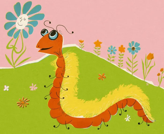 Framed Print : Caterpillar and Flowers