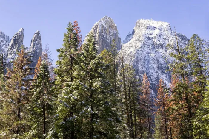 Framed Print : Cathedral Rocks covered with snow, Yosemite National Park, California, USA Framed Print : Cathedral Rocks covered with snow, Yosemite National Park, California, USA